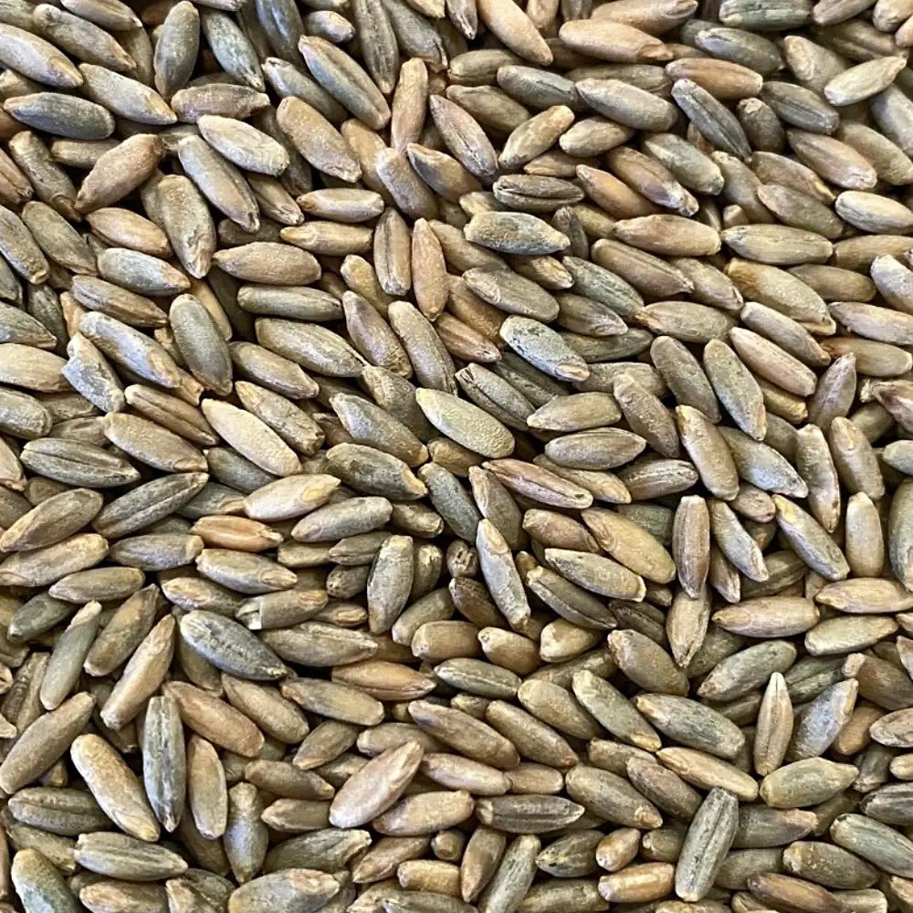 Făină integrală de Secară ecologică BioFarmLand 1kg