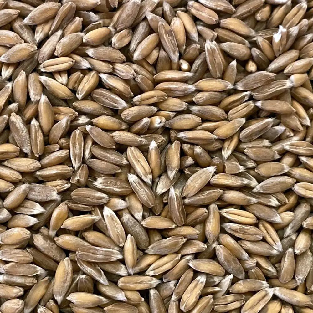 Făină integrală de Spelta ecologică BioFarmLand 1kg