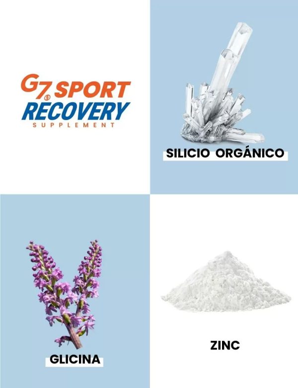 ORGONO G7 Sport Recovery <br>1 L - imagine 2